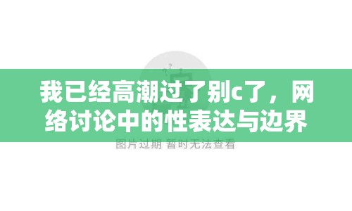 我已經(jīng)高潮過(guò)了別c了，網(wǎng)絡(luò)討論中的性表達(dá)與邊界