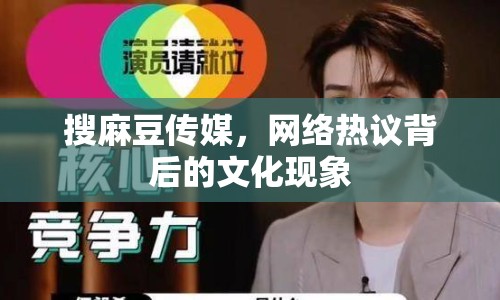 搜麻豆傳媒，網(wǎng)絡(luò)熱議背后的文化現(xiàn)象