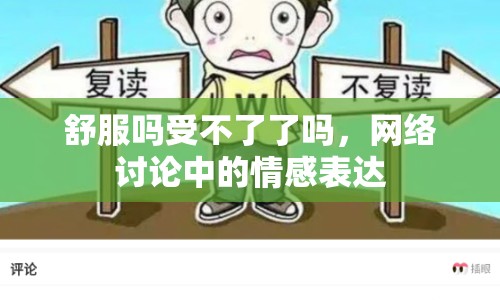 舒服嗎受不了了嗎，網(wǎng)絡討論中的情感表達