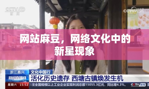 網(wǎng)站麻豆，網(wǎng)絡(luò)文化中的新星現(xiàn)象