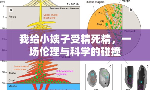 我給小姨子受精死精，一場(chǎng)倫理與科學(xué)的碰撞