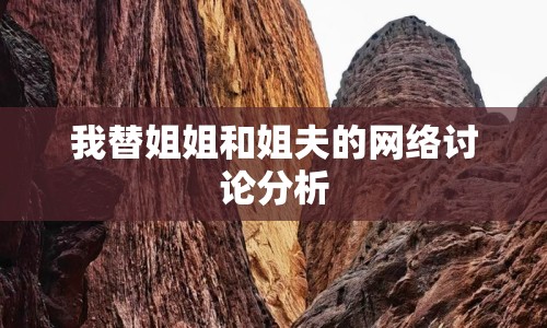 我替姐姐和姐夫的網(wǎng)絡(luò)討論分析