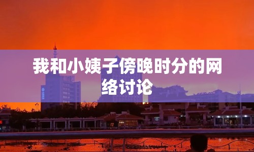 我和小姨子傍晚時(shí)分的網(wǎng)絡(luò)討論
