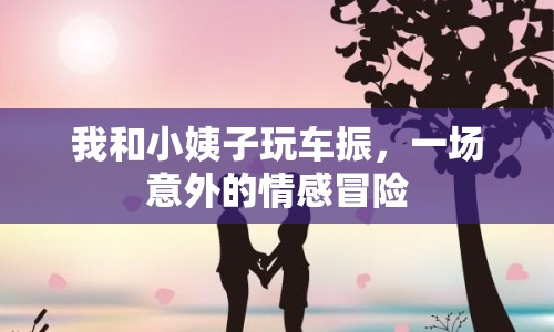我和小姨子玩車振，一場(chǎng)意外的情感冒險(xiǎn)