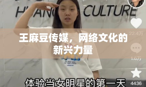 王麻豆傳媒，網(wǎng)絡(luò)文化的新興力量