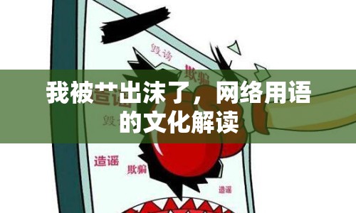 我被艸出沫了，網(wǎng)絡(luò)用語的文化解讀