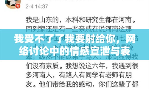 我受不了了我要射給你，網(wǎng)絡(luò)討論中的情感宣泄與表達(dá)