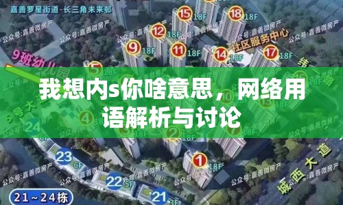 我想內(nèi)s你啥意思，網(wǎng)絡(luò)用語解析與討論