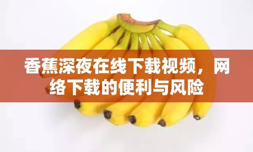 香蕉深夜在線下載視頻，網(wǎng)絡(luò)下載的便利與風(fēng)險(xiǎn)