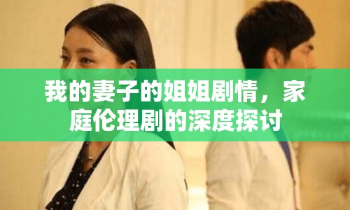 我的妻子的姐姐劇情，家庭倫理劇的深度探討
