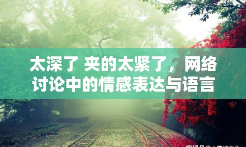 太深了 夾的太緊了，網(wǎng)絡(luò)討論中的情感表達(dá)與語(yǔ)言藝術(shù)