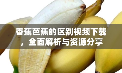 香蕉芭蕉的區(qū)別視頻下載，全面解析與資源分享