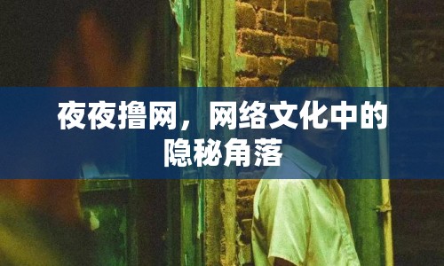 夜夜擼網(wǎng)，網(wǎng)絡(luò)文化中的隱秘角落