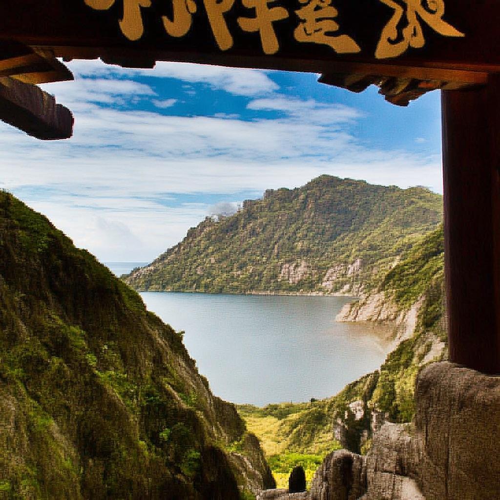 彩色肉肉無遮擋，多肉植物的魅力與養(yǎng)護(hù)技巧
