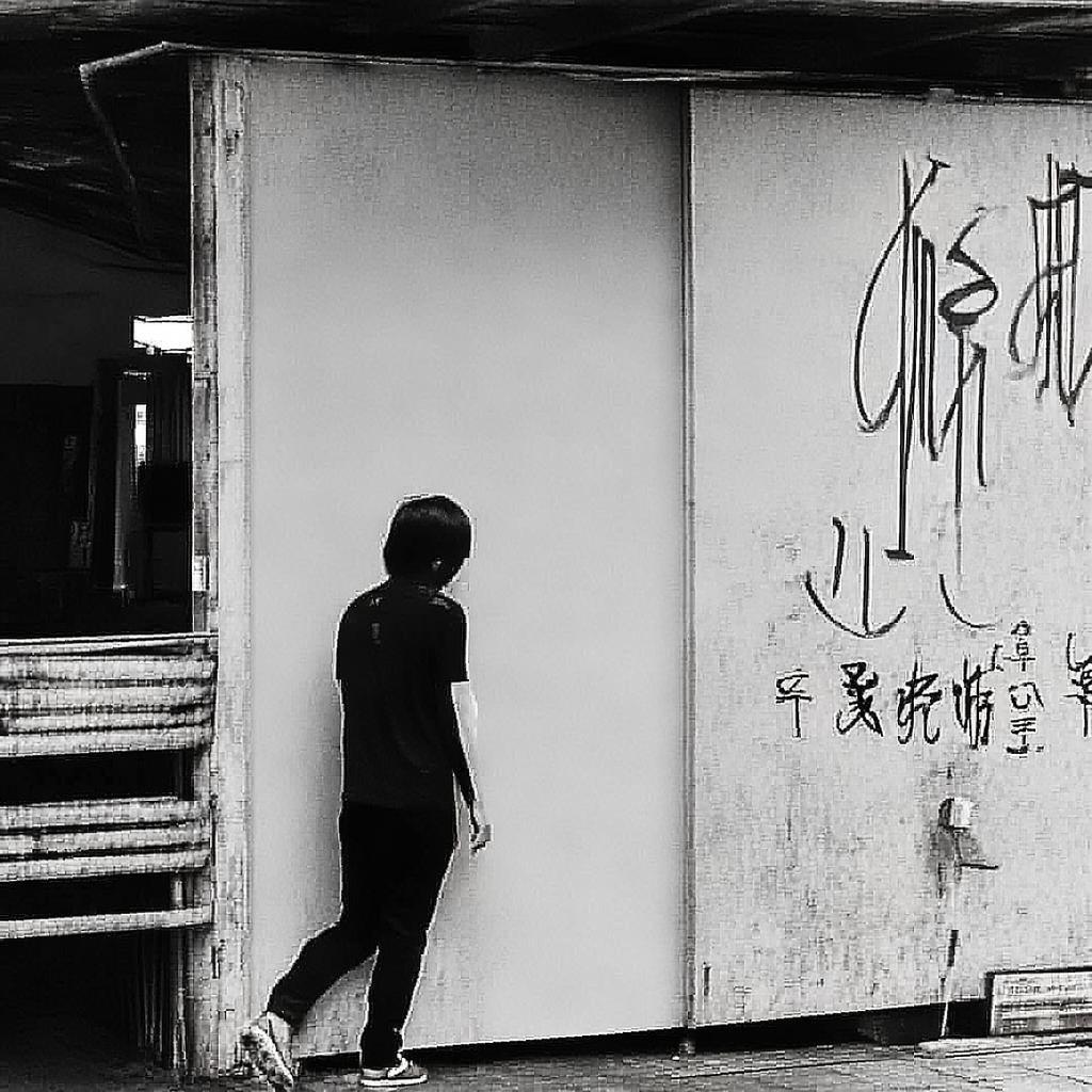 秋蟬，生命的絕唱與自然的韻律