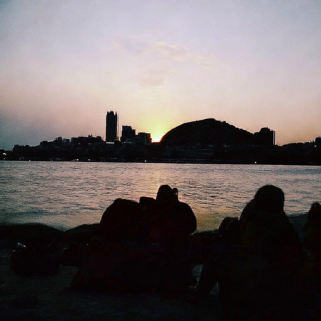 日日干夜夜騎究竟隱藏著怎樣的獨特魅力？