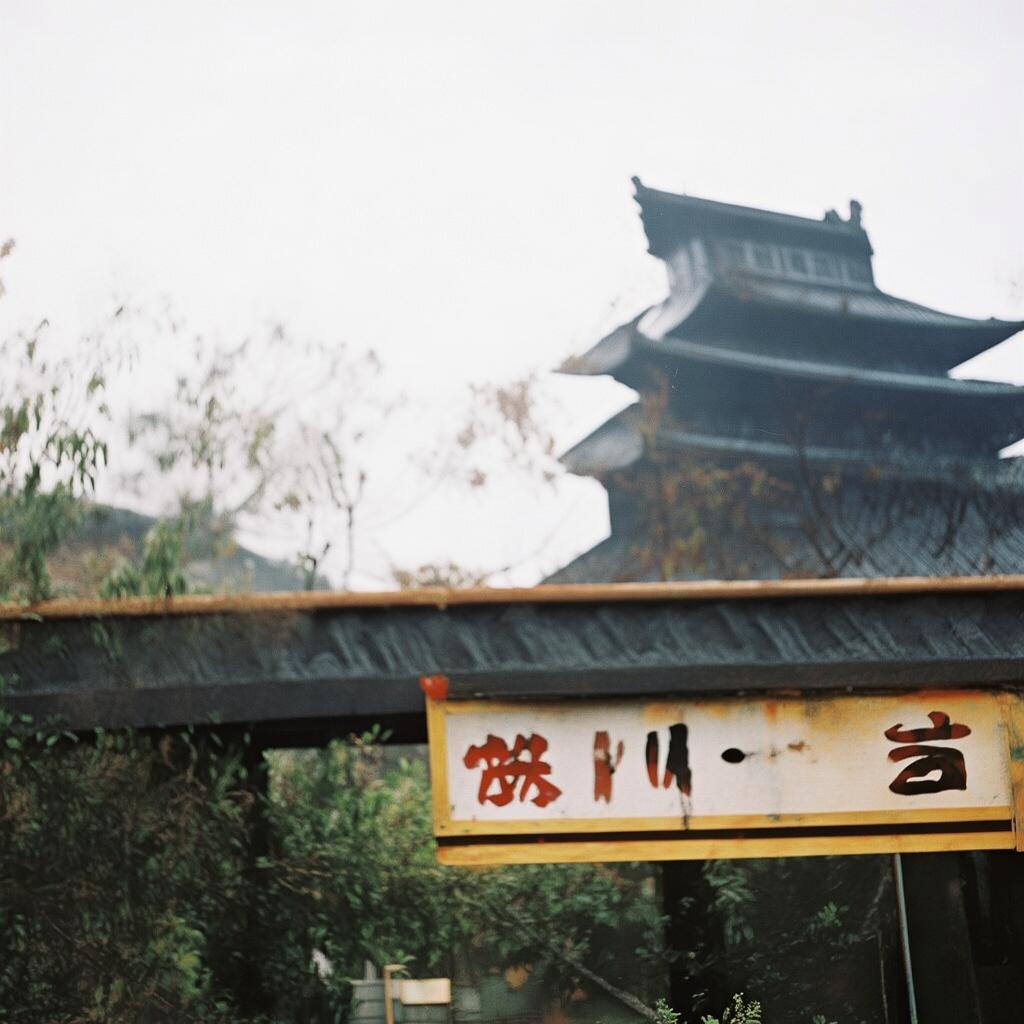 狠狠婷婷，她如何成為多才多藝的跨界新星？