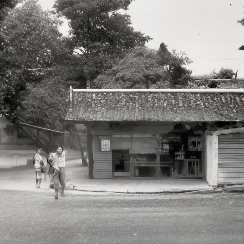 青云志手游，飾品轉(zhuǎn)移，如何打造個性化角色，提升戰(zhàn)力？