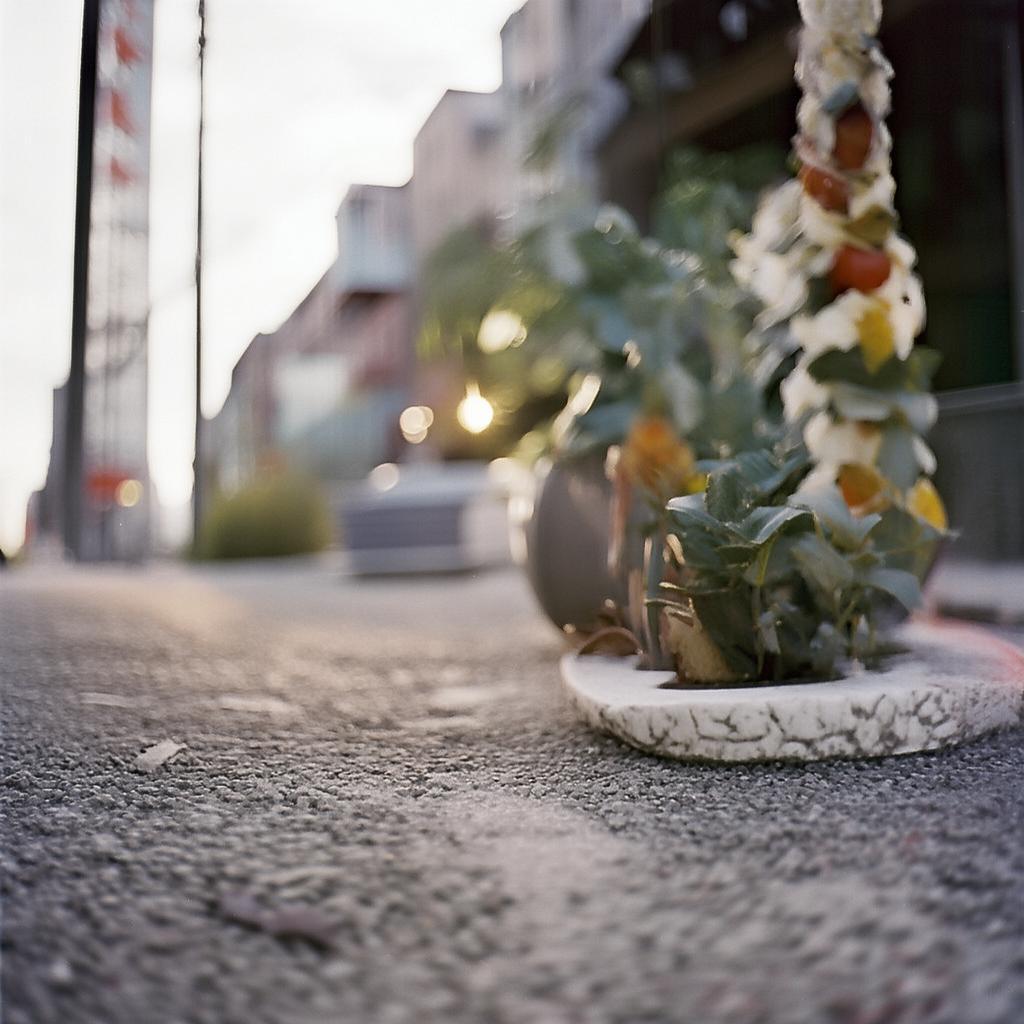 想成為倩女幽魂手游貨運大佬？虛擬世界的財富密碼你掌握了嗎？，以玩家目標為導(dǎo)向，用貨運大佬和財富密碼強化利益點，通過問句制造懸念感。既包含游戲元素又與現(xiàn)實商機掛鉤，符合疑問式吸引點擊的要求，長度控制在25字內(nèi)利于傳播。）